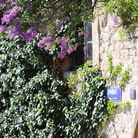 Stadtvilla Rosengasse 7 Apartamento *